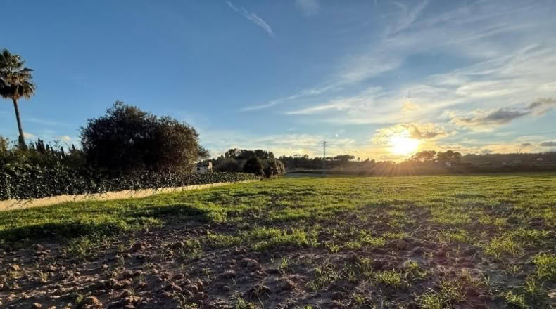 Balearic Islands - San Juan - 6748m2