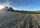 Non-developable land for sale on España, Sant Joan, ref: TR359227 photo