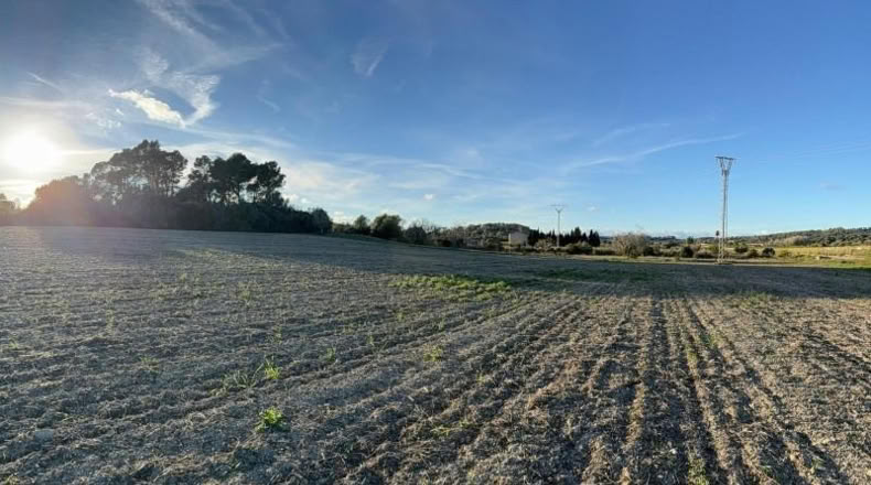 Balearic Islands - San Juan - 6748m2