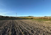 Non-developable land for sale on España, Sant Joan, ref: TR359227 photo