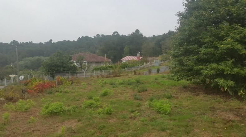 Orense - Barbadás - 1290m2