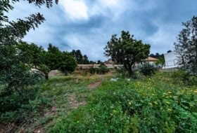 Torres Torres 715&nbsp;m² 