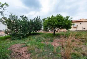 Torres Torres 715&nbsp;m² 