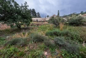 Torres Torres 715&nbsp;m² 