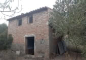 Terreny no urbanitzable en venda a la España, Benissanet, ref.: TR351082 foto