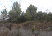 Terreny no urbanitzable en venda a la España, Benissanet, ref.: TR351082 foto