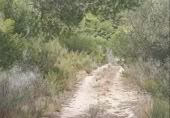 Terreny no urbanitzable en venda a la España, Benissanet, ref.: TR351082 foto