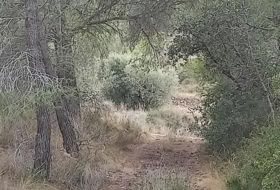 Foto 13