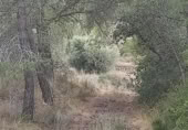 Terreny no urbanitzable en venda a la España, Benissanet, ref.: TR351082 foto