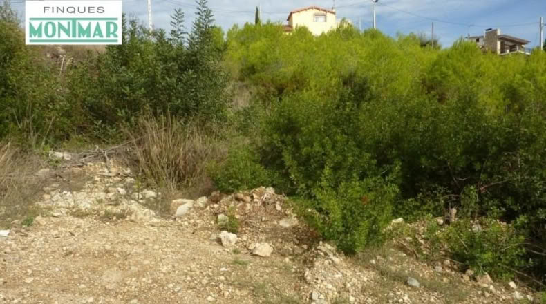 Barcelona - Olivella - 500m2