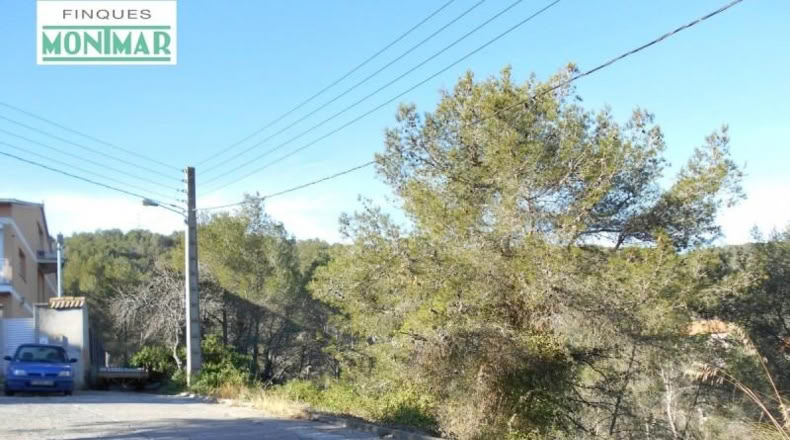 Barcelona - Olivella - 852m2