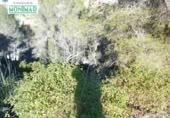 Suelo urbano en venta en la España, Olivella, ref: TR115346 foto