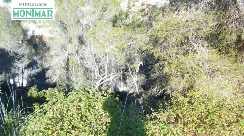 Barcelona - Olivella - 852m2