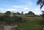 Terreno no urbanizable en venta en la España, Arroyo de la Luz, ref: TR115685 foto