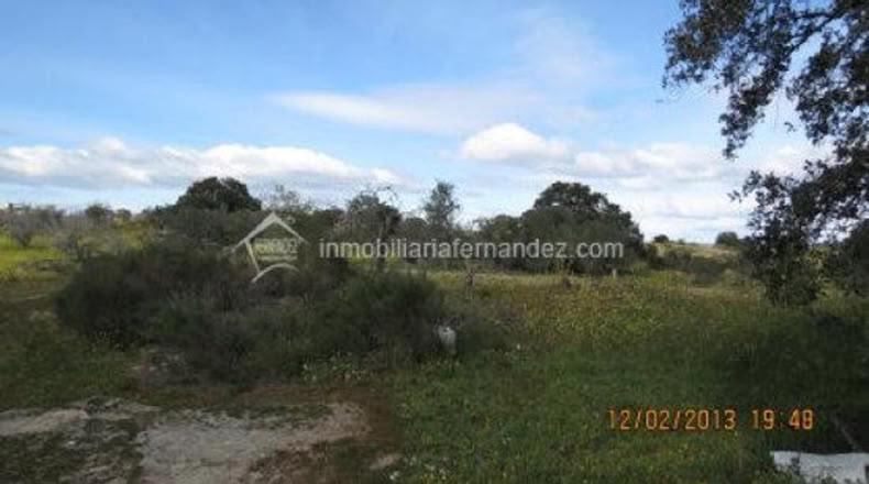 Cáceres - Arroyo de la Luz - 8200m2