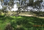 Terreno no urbanizable en venta en la España, Arroyo de la Luz, ref: TR115685 foto