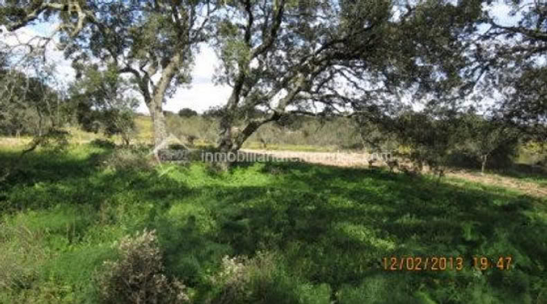 Cáceres - Arroyo de la Luz - 8200m2