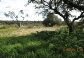 Terreno no urbanizable en venta en la España, Arroyo de la Luz, ref: TR115685 foto