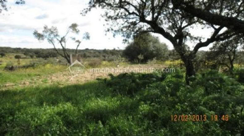 Cáceres - Arroyo de la Luz - 8200m2