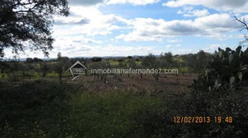 Cáceres - Arroyo de la Luz - 8200m2
