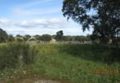 Terreno no urbanizable en venta en la España, Arroyo de la Luz, ref: TR115685 foto