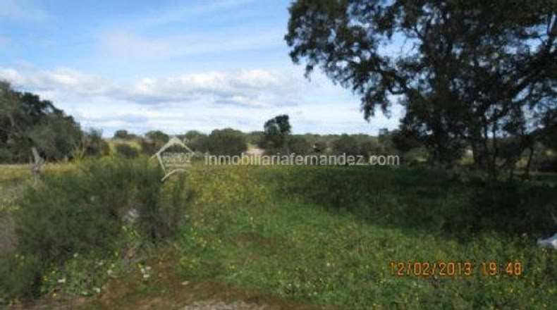 Cáceres - Arroyo de la Luz - 8200m2