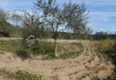 Terreno no urbanizable en venta en la España, Arroyo de la Luz, ref: TR115685 foto