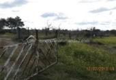Terreno no urbanizable en venta en la España, Arroyo de la Luz, ref: TR115685 foto