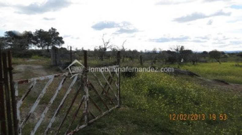 Cáceres - Arroyo de la Luz - 8200m2