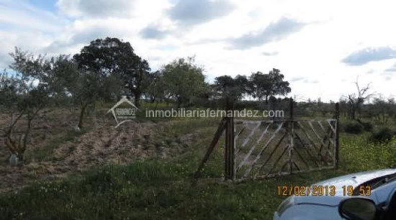 Cáceres - Arroyo de la Luz - 8200m2