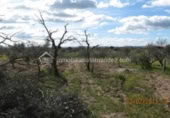 Terreno no urbanizable en venta en la España, Arroyo de la Luz, ref: TR115685 foto