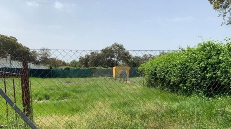 Cáceres - Arroyo de la Luz - 1200m2