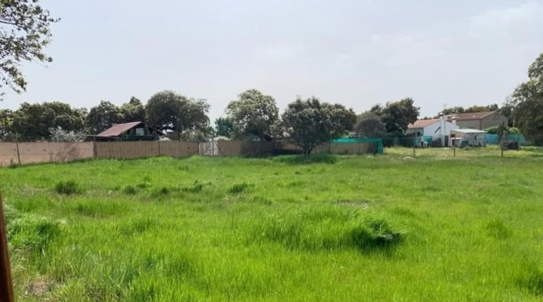 Cáceres - Arroyo de la Luz - 1200m2