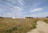 Terreno no urbanizable en venta en la España, Tomelloso, ref: TR115852 foto