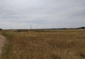 Terreno no urbanizable en venta en la España, Tomelloso, ref: TR115852 foto