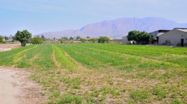 Múrcia - Santomera - 3000m2