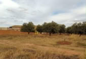 Terreny no urbanitzable en venda a la España, Arnedo, ref.: TR133843 foto