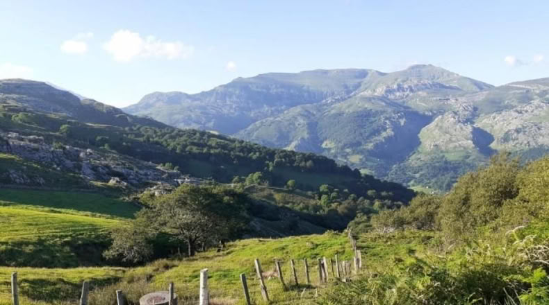Cantàbria - Arredondo - 14000m2