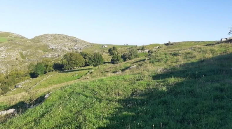 Cantàbria - Arredondo - 14000m2