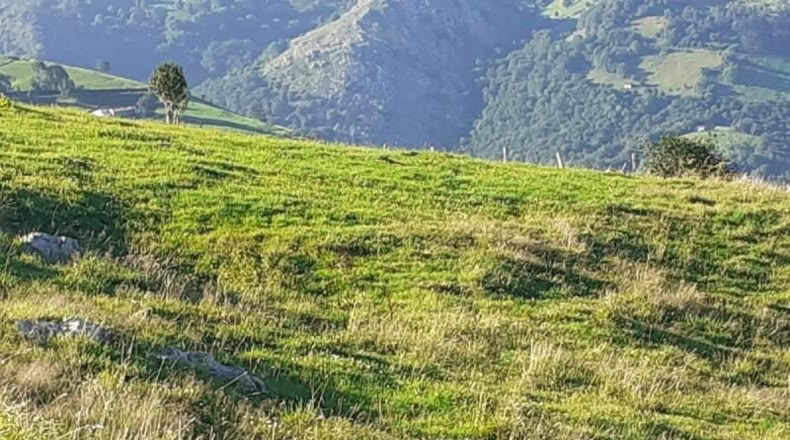 Cantàbria - Arredondo - 14000m2