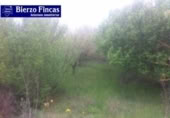 Detached villa with land for sale on España, Ponferrada, ref: TR114112 photo