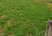 Non-developable land for sale on España, Ponferrada, ref: TR114171 photo
