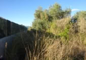 Terreny no urbanitzable en venda a la España, Vila-real, ref.: TR124400 foto