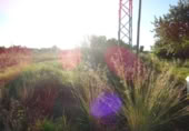 Terreny no urbanitzable en venda a la España, Vila-real, ref.: TR124400 foto
