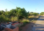 Terreny no urbanitzable en venda a la España, Vila-real, ref.: TR124400 foto