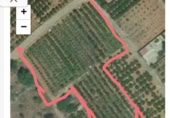 Terreny no urbanitzable en venda a la España, Vila-real, ref.: TR124400 foto