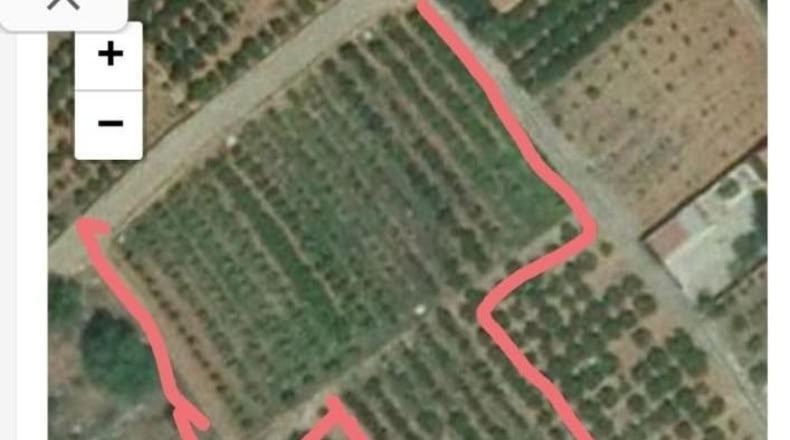 Castellón - Vila-real - 7610m2