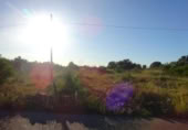 Terreny no urbanitzable en venda a la España, Vila-real, ref.: TR124400 foto