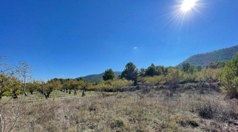 Múrcia - Cehegín - 6230m2