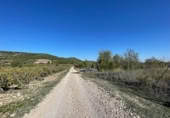Terreno no urbanizable en venta en la España, Cehegín, ref: TR116865 foto